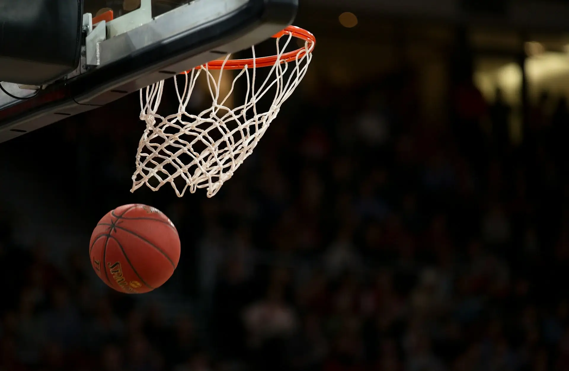 ¡Pivot33! La Revolución del Baloncesto Amateur!